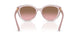 282814 - Pink - Pink Gradient Brown