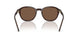 625573 - Brown - Brown