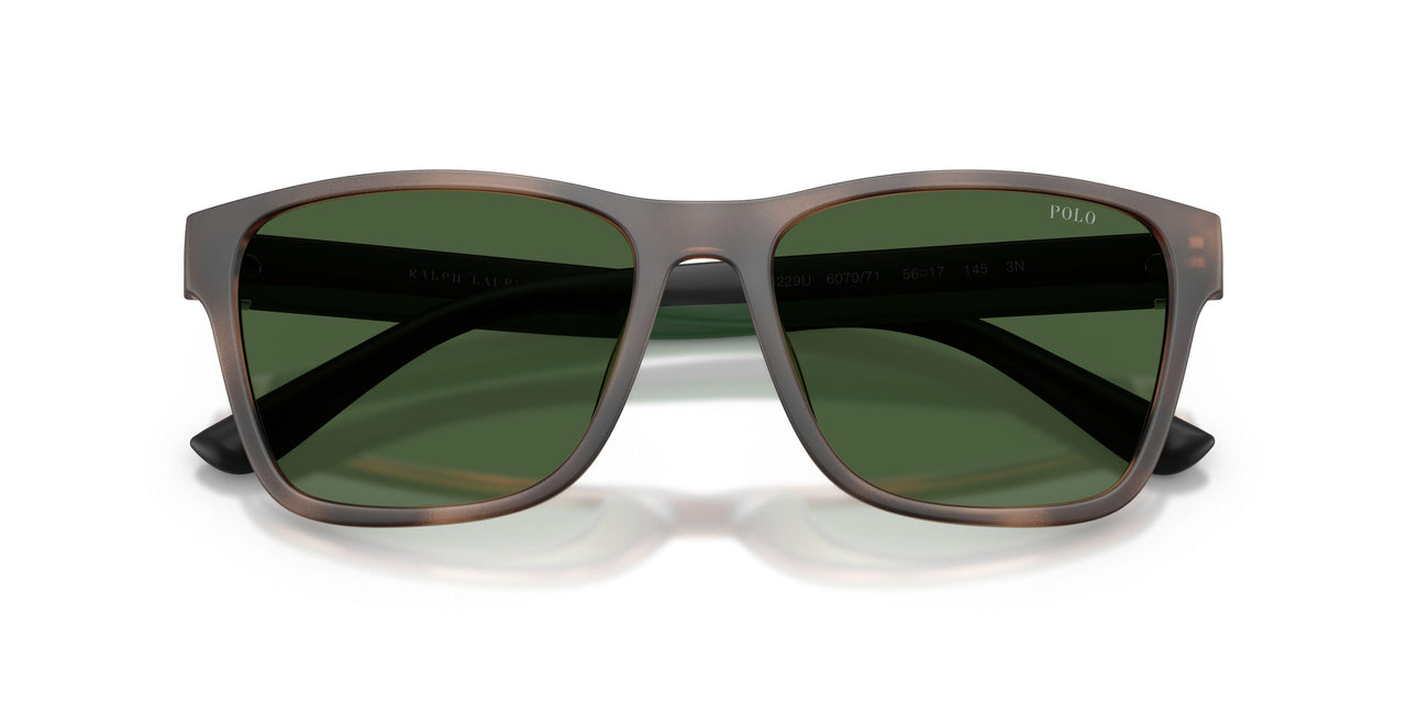 607071 - Tortoise - Bottle Green