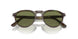 11564E - Green - Light Green