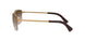 001/13 - Gold - Brown Gradient