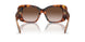 331613 - Tortoise - Brown Gradient