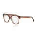 047 - Shiny Brown - DEMO