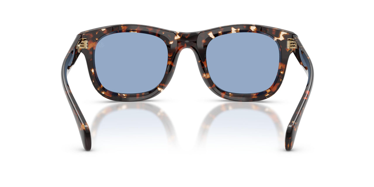 304880 - Tortoise - Solid Light Blue