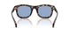 304880 - Tortoise - Solid Light Blue