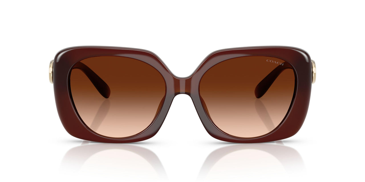 584174 - Brown - Brown Gradient