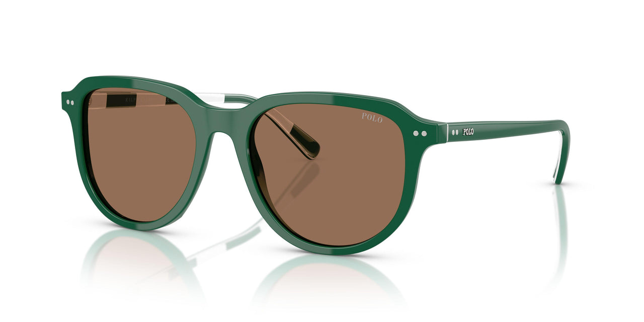 542173 - Green - Dark Brown