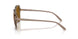 299083 - Brown - Dark Brown Polar