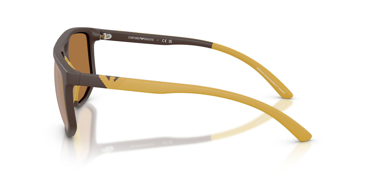 62586H - Brown - Brown Mirror Gold