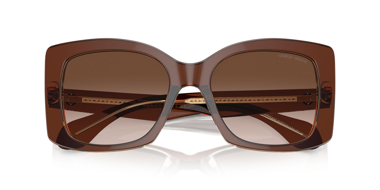 609013 - Brown - Brown Gradient