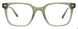 60 - Transparent Khaki