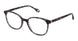 Fysh F-3787 Eyeglasses