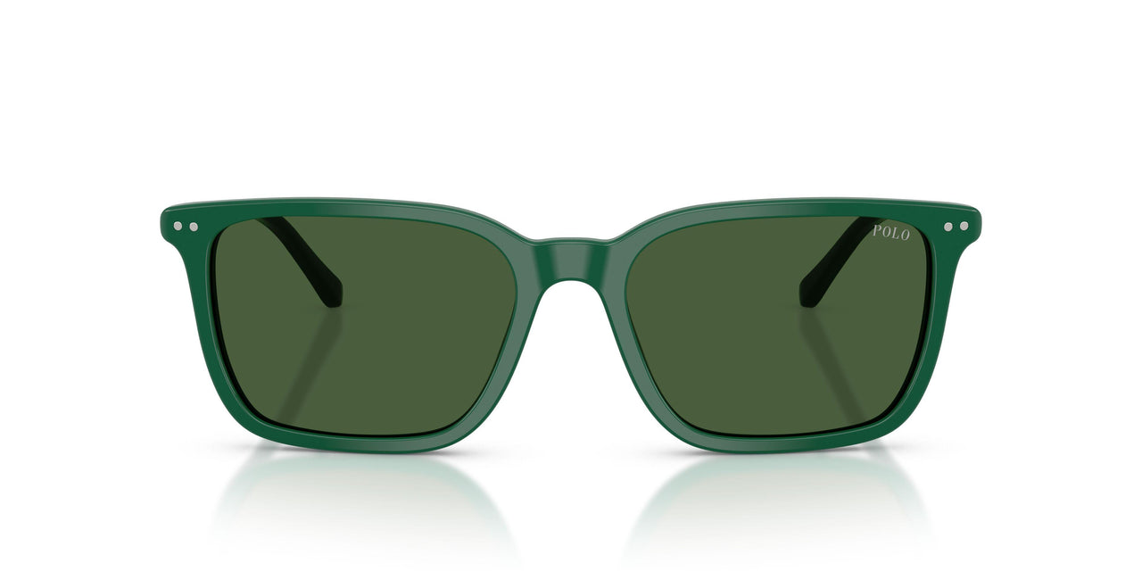 542171 - Green - Bottle Green