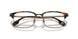 3002 - Brown
