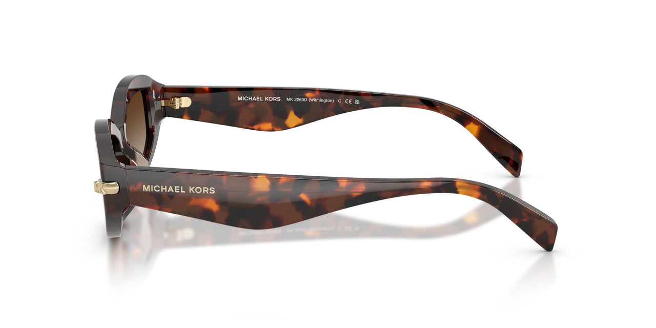 403113 - Tortoise - Smoke Gradient