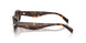 403113 - Tortoise - Smoke Gradient