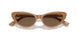 619673 - Brown - Dark Brown