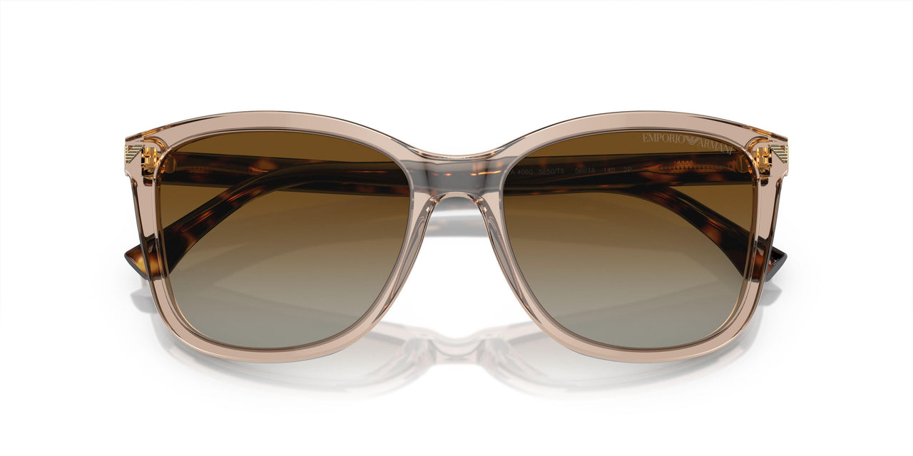 5850T5 - Brown - Gradient Brown Polar