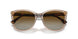 5850T5 - Brown - Gradient Brown Polar