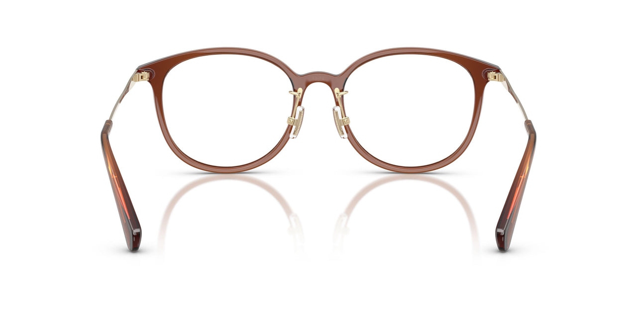 5847 - Brown