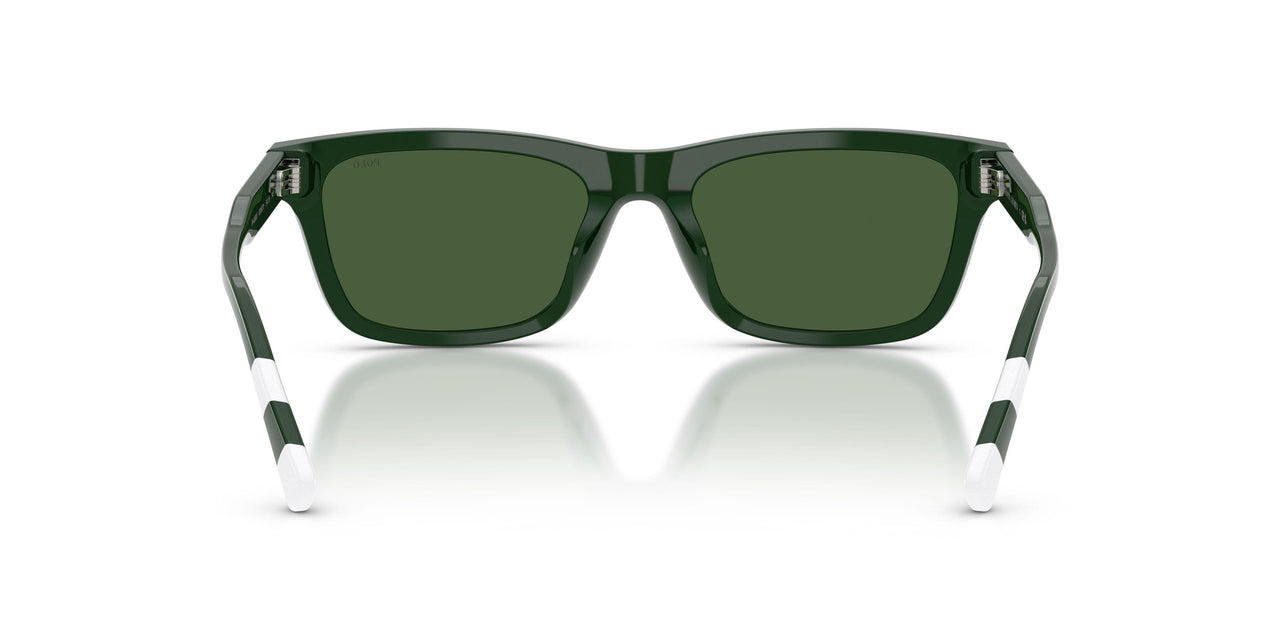 631671 - Green - Dark Green