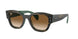140251 - Green - Clear & Brown