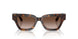 587913 - Tortoise - Gradient Brown