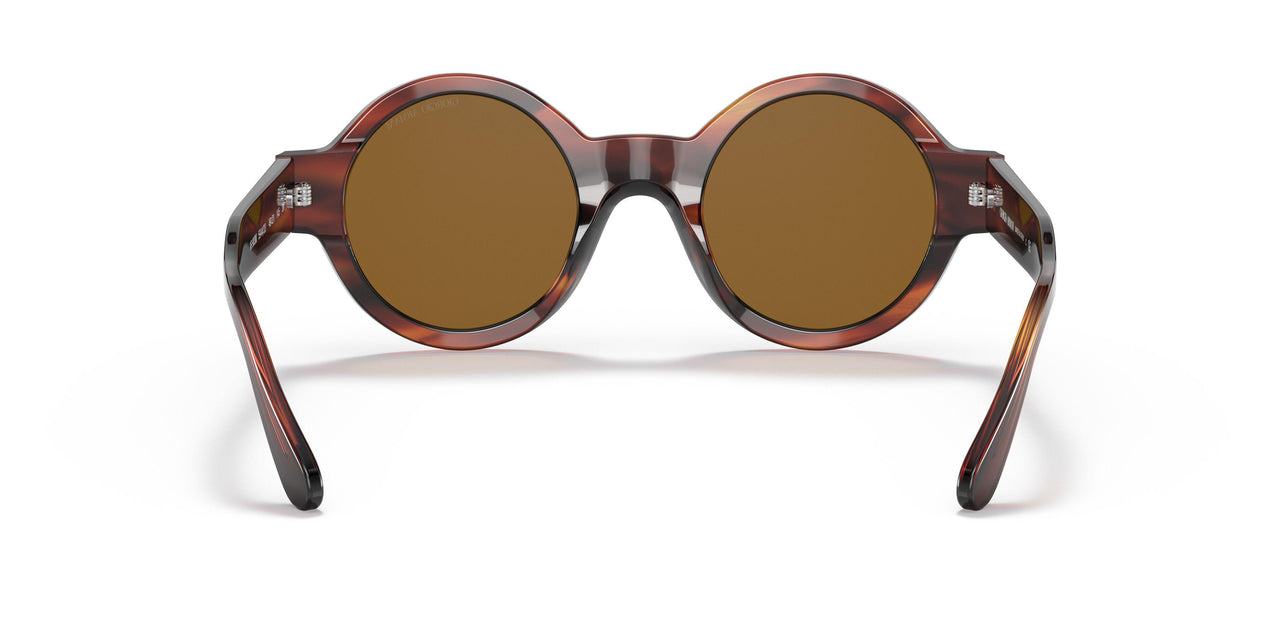 594433 - Havana - Brown