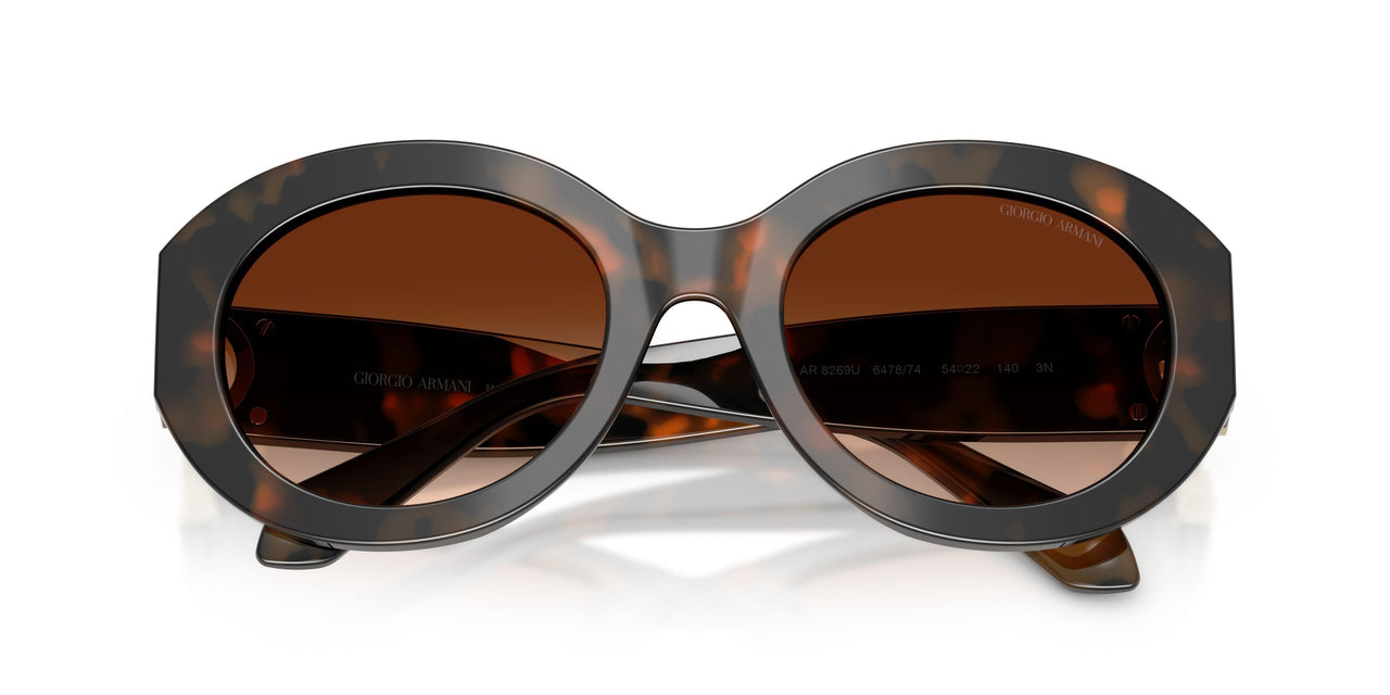 647874 - Tortoise - Brown Gradient