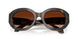 647874 - Tortoise - Brown Gradient