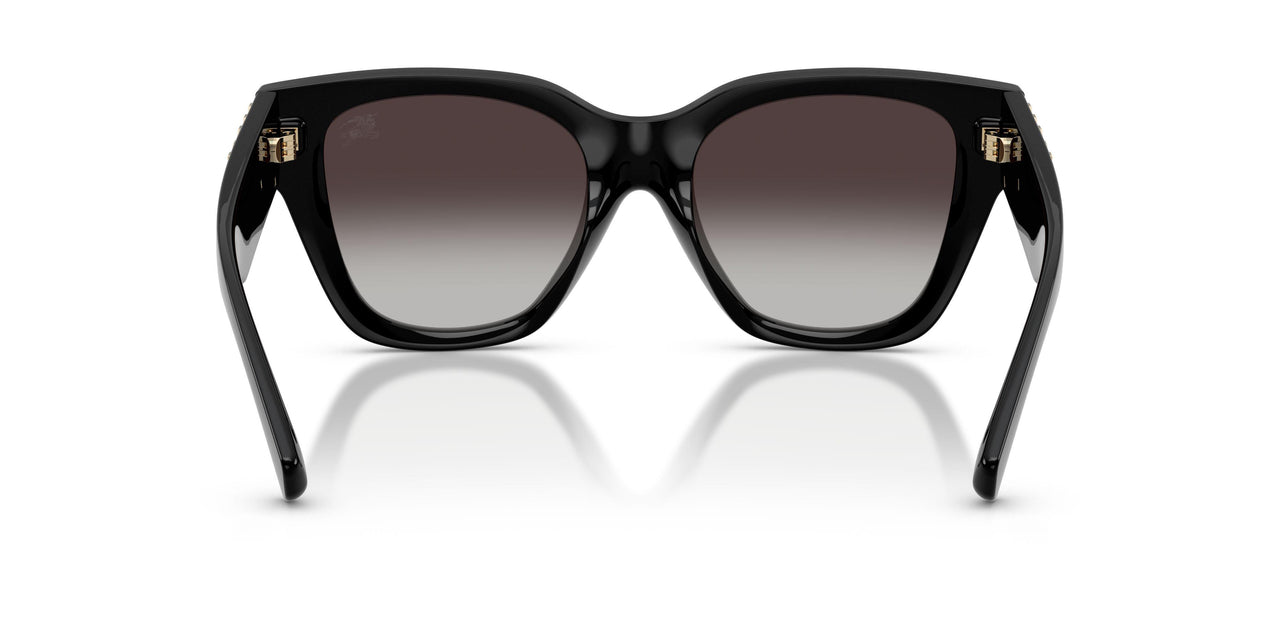 300187 - Black - Grey Gradient