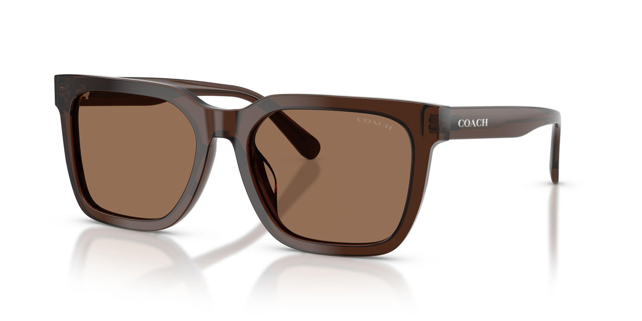 Coach Cfu12 8466U Sunglasses