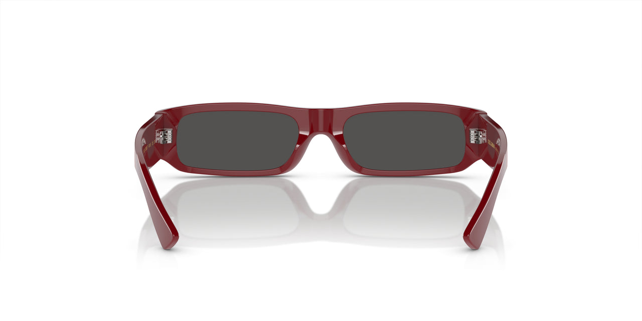 308887 - Red - Dark Grey