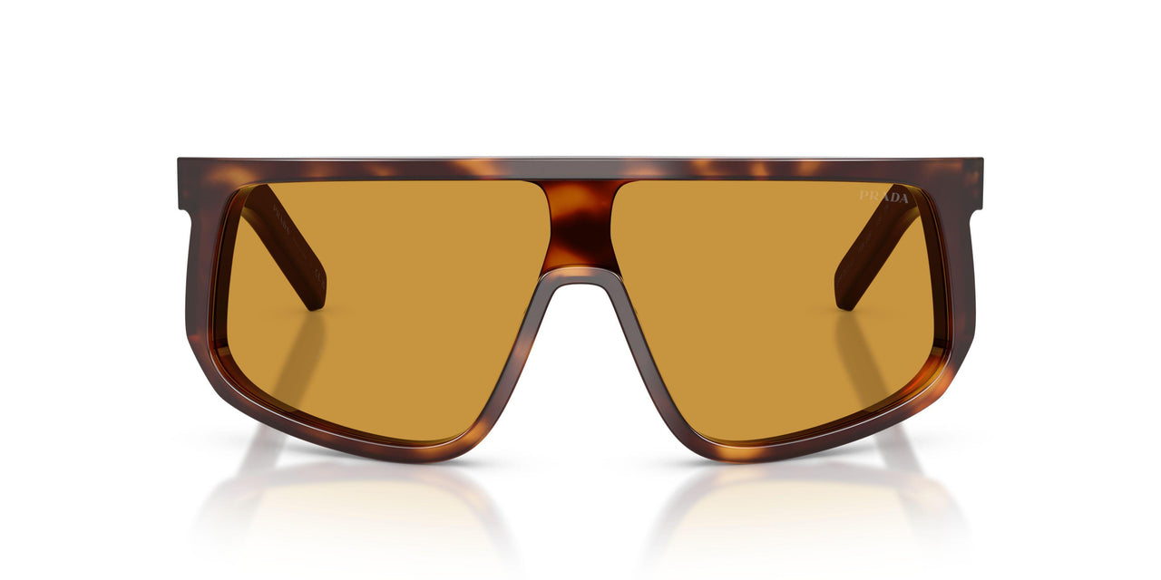 15W50P - Tortoise - Dark Honey