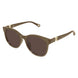 004 - Brown - Brown