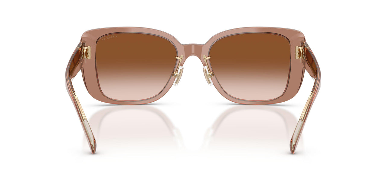 577913 - Brown - Brown Gradient