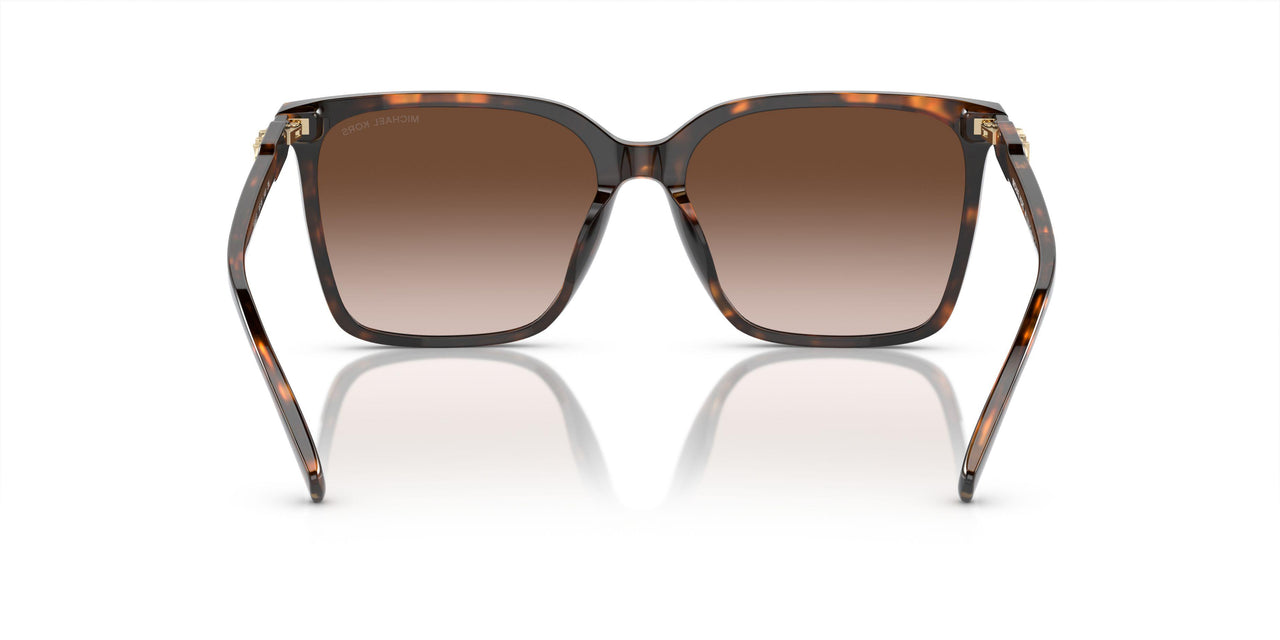 300613 - Tortoise - Brown Gradient