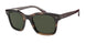573431 - Brown - Green