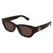 002 - Havana - Brown