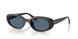 686880 - Brown - Dark Blue