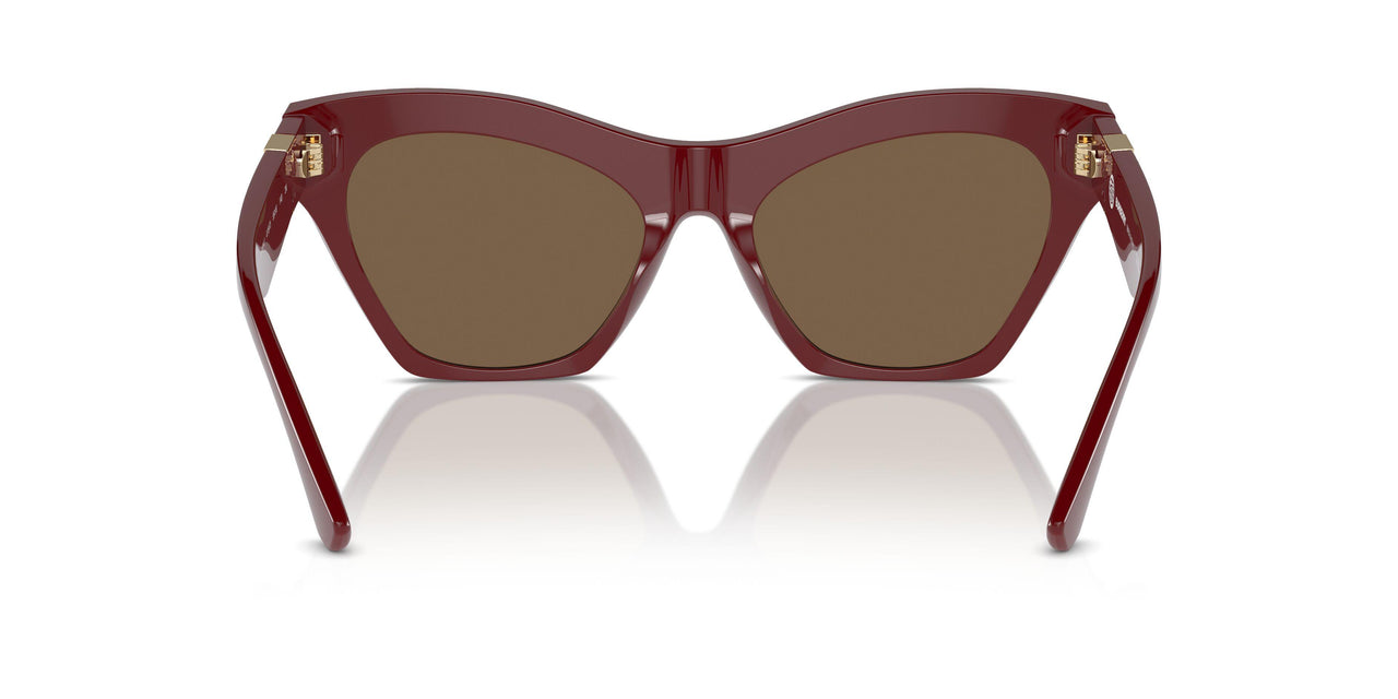 411973 - Red - Dark Brown
