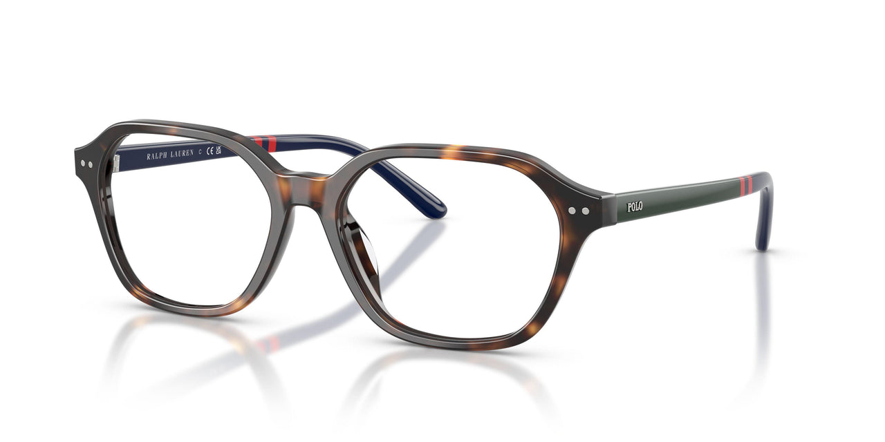 5003 - Tortoise