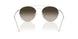 304513 - Silver - Gradient Brown