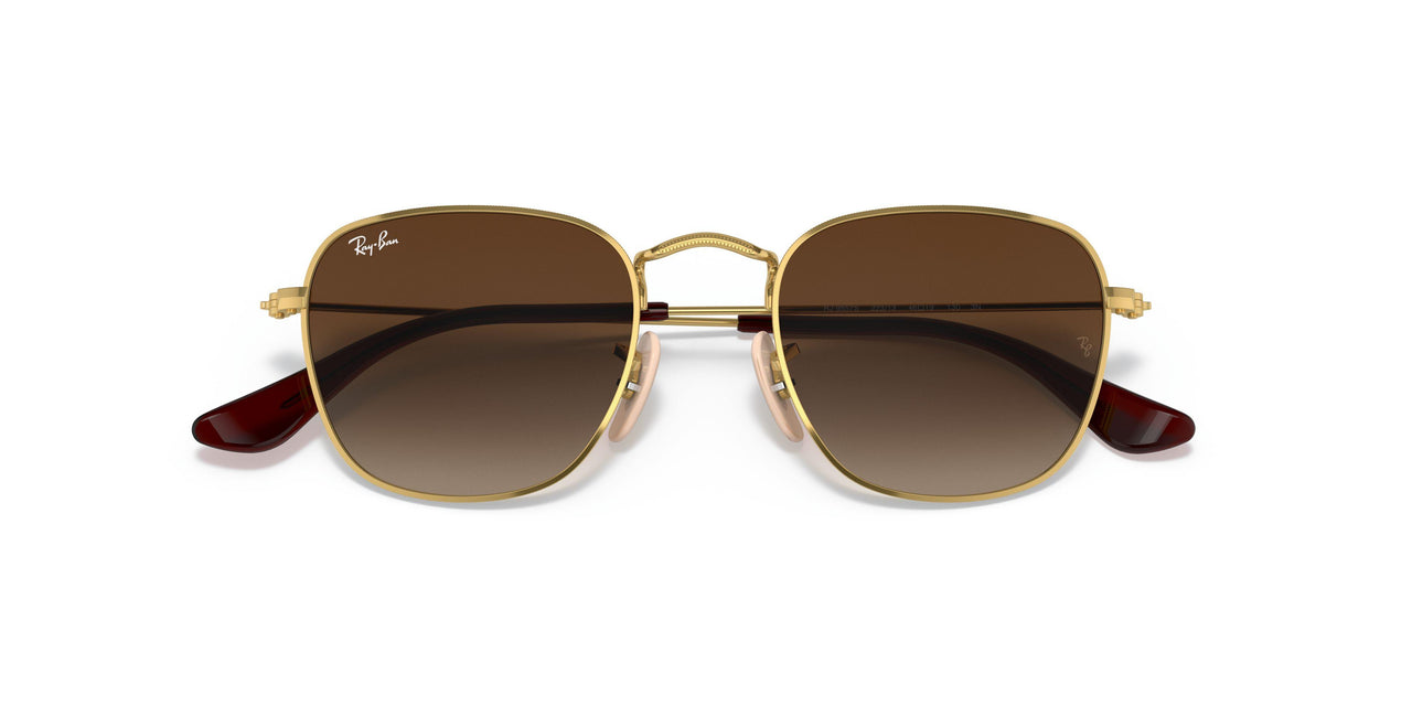 223/13 - Gold - Brown Gradient