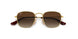 223/13 - Gold - Brown Gradient