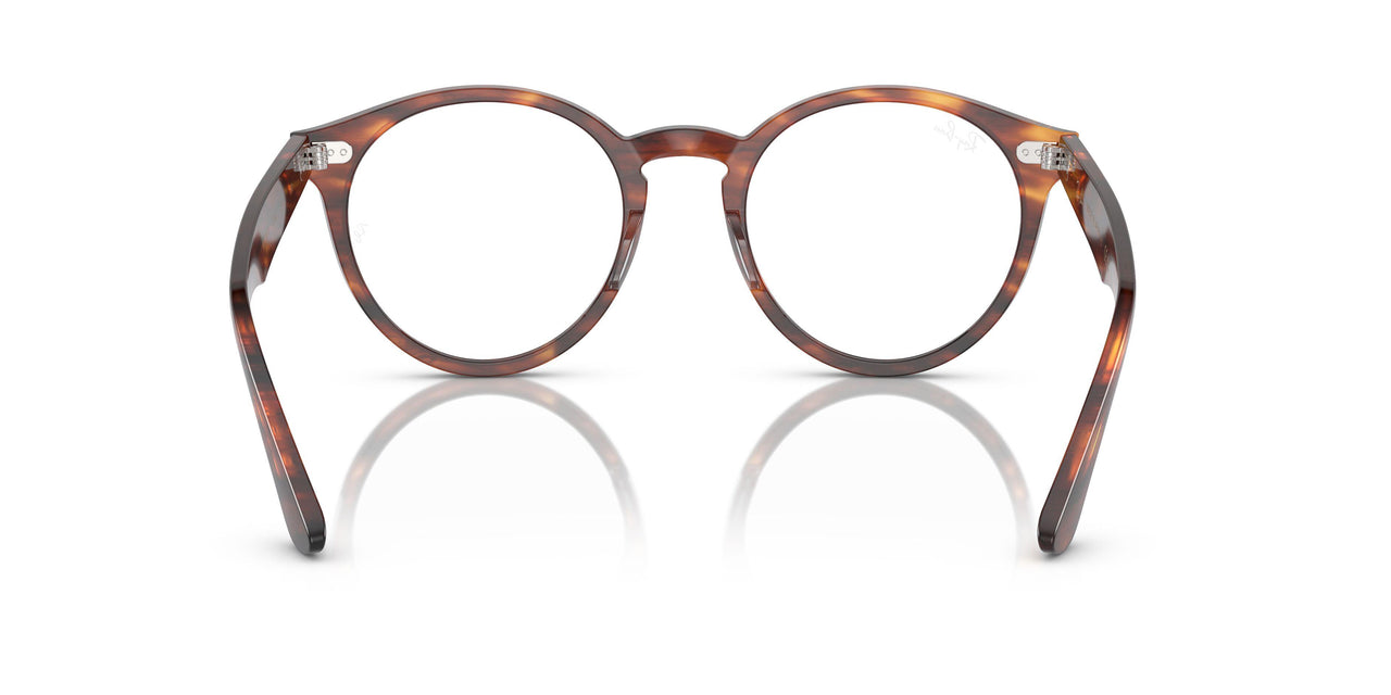2144 - Brown - Clear