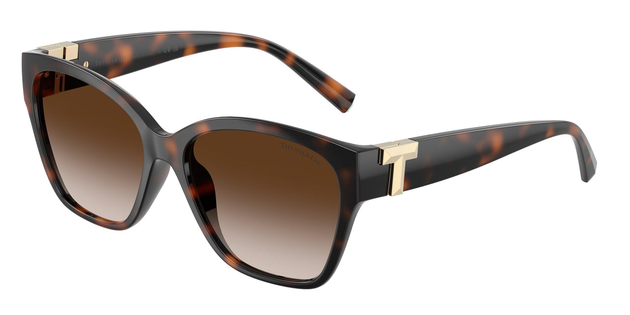 80153B - Tortoise - Brown Gradient