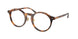 Polo 2260F Eyeglasses