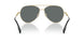 110981 - Gold - Dark Grey Polar