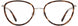 Cinzia CIN5188 Eyeglasses